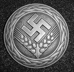 Nazi 1941 RADwJ Maidenführerin Rank Brooch...$110 SOLD