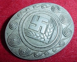 Nazi RADwJ Woman's Reich Labour Service Badge...$45 SOLD